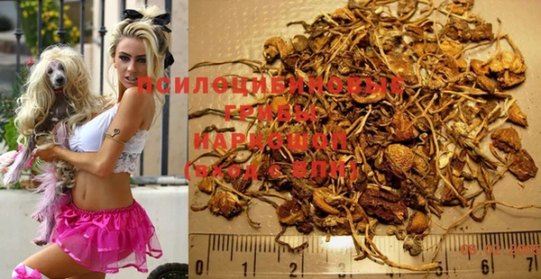 тгк Надым