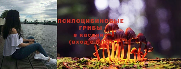 тгк Надым