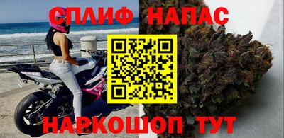 стафф Гусев