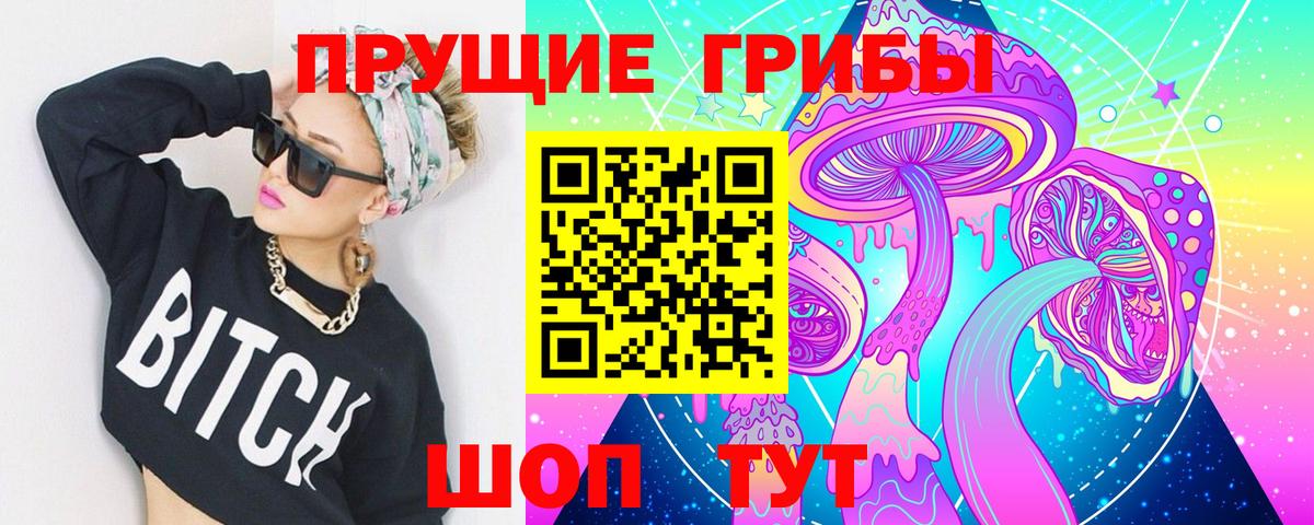 Курск  Псилоцибиновые грибы мицелий  Вход с VPN  Псилоцибиновые грибы MAGIC MUSHROOMS 