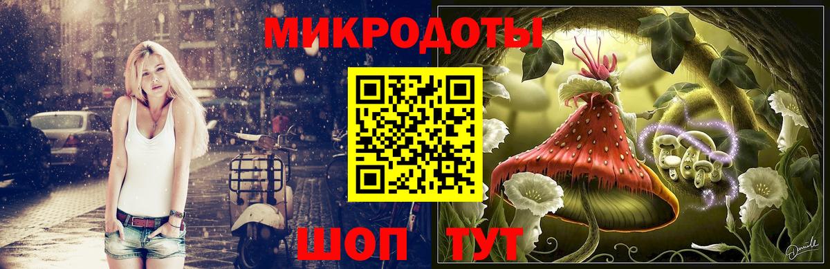 Псилоцибиновые грибы Psilocybine cubensis  Курск  Галлюциногенные грибы прущие грибы 