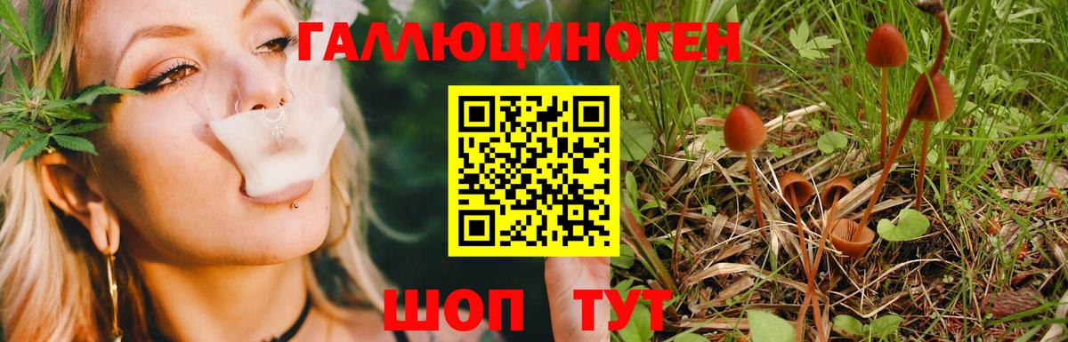 КОКАИН  Хэш  Курск  Ляпка  АМФ  А ПВП  Мяу-Мяу  Кислота  Вход с VPN  MDMA  НБОМе  Бошки Шишки 