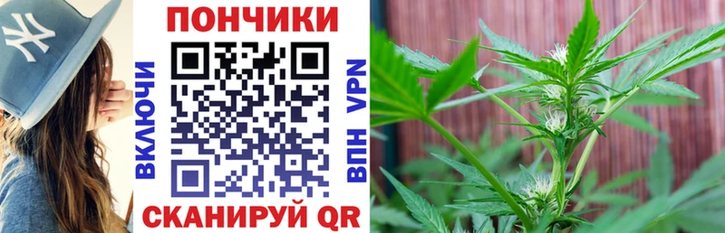 Шишки марихуана VHQ  Курск 